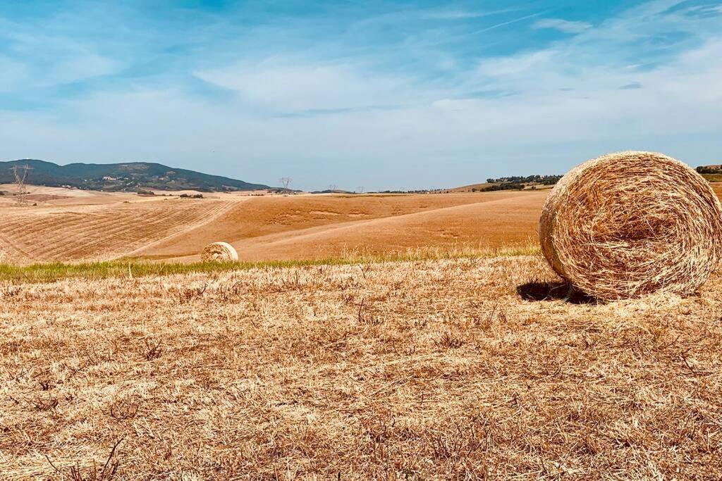 Vacanze Sulle Colline Toscane Ad Un Passo Dal Mare Orciano Pisano Экстерьер фото
